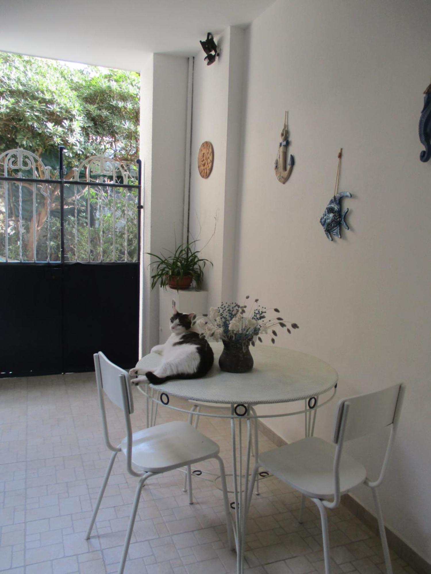 La Casa Del Nespolo Tranquillo Alloggio Vicino Alla Stazione ซานเรโม ภายนอก รูปภาพ